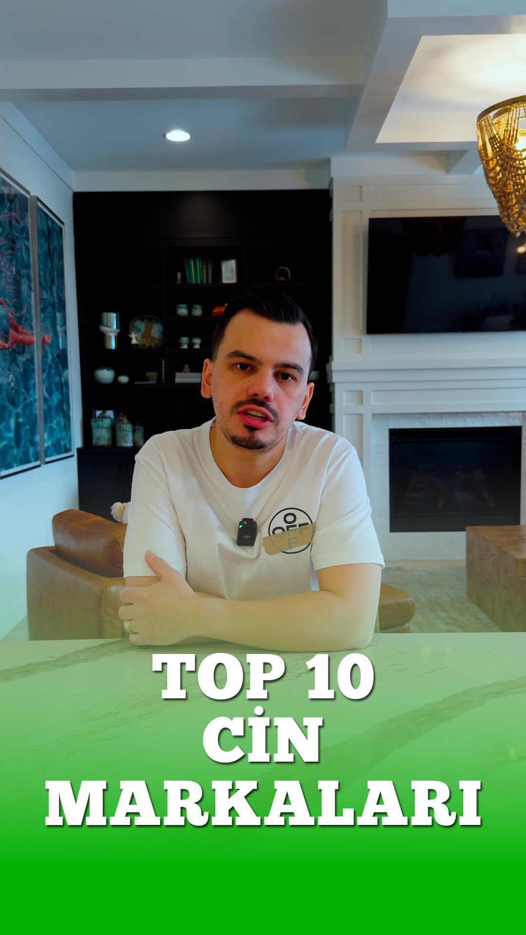 En Beğendiğim 10 Cin Markası